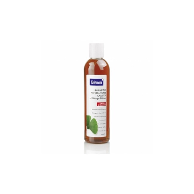 SHAMPOO PREV CAD GINKGO BILOBA