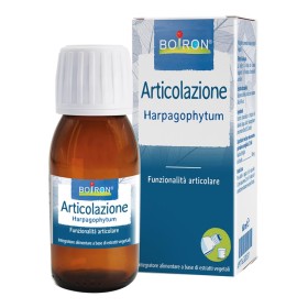 HARPAGOPHYTUM BOI EI 60ML INT