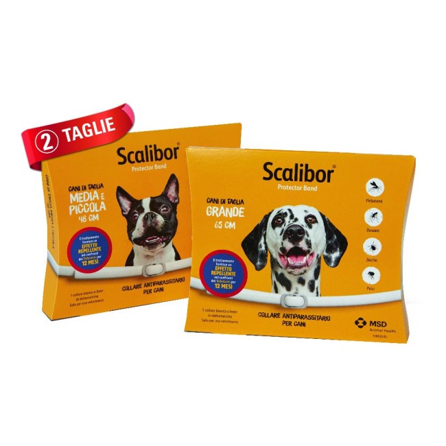 SCALIBOR PROTECTOR BAND*BI48CM