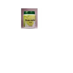 FICUS CARICA 60CPS