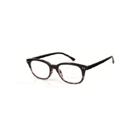 IXPLIT S&V FOTOCROMAT +1,00 NE