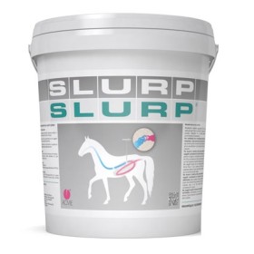SLURP POLVERE 10KG
