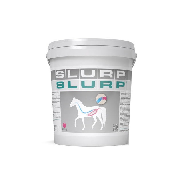 SLURP POLVERE 10KG