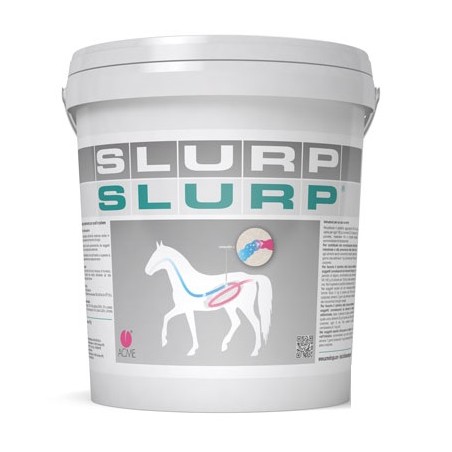 SLURP POLVERE 10KG