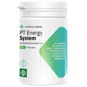 PT ENERGY SYSTEM 30CPR
