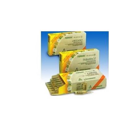 FISIOSOL PL SALVIA 20F