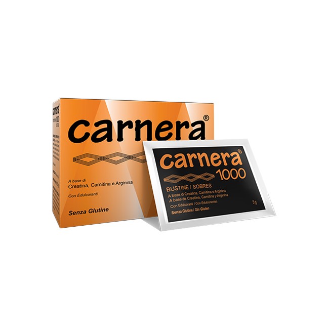 CARNERA 1000 18BUST