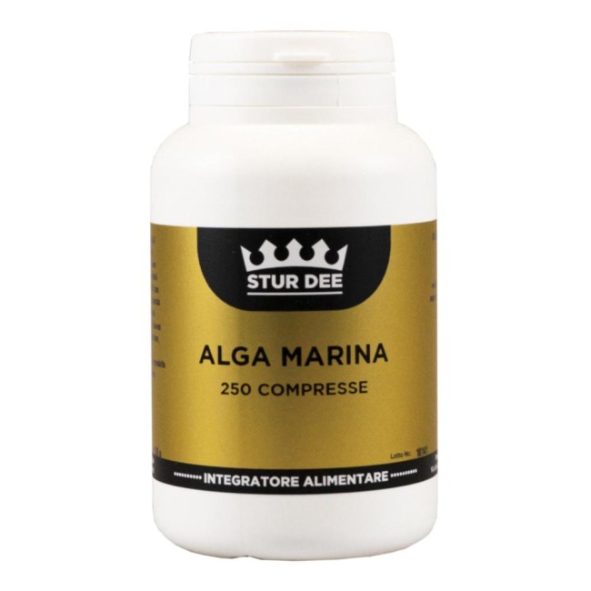 ALGA MARINA 250TAV STUR DEE