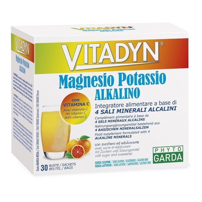VITADYN MAGNESIO POTASS 30BUST