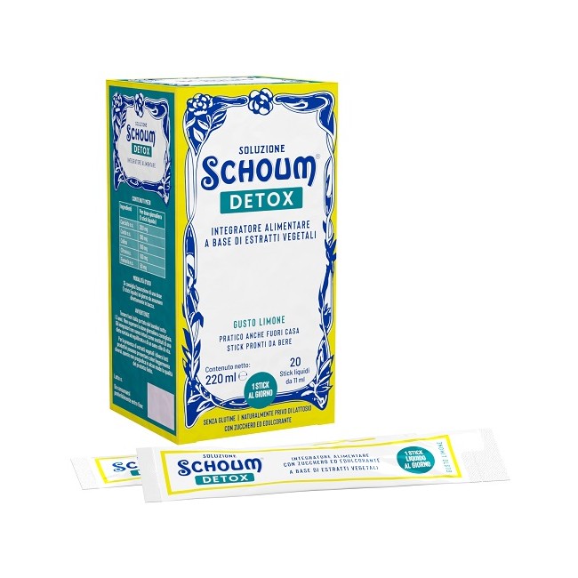 SOLUZIONE SCHOUM DETOX 20STICK