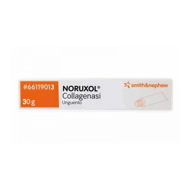 Smith & Nephew Noruxol Unguento Clostridiopeptidasi A 1,2 Unità E Proteasi 0,24 Unità Smith & Nephew Noruxol Unguento Clostridiopeptidasi A 1,2 Unità E Proteasi 0,24 Unità