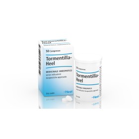 Tormentilla-heel Compresse Medicinale Omeopatico Senza Indicazioni Terapeutiche Approvate