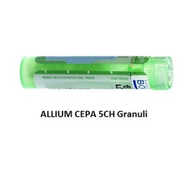 Boiron Allium Cepa Boi 5ch Gr 4g