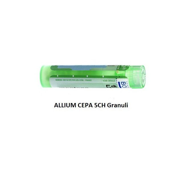 Boiron Allium Cepa Boi 5ch Gr 4g Boiron Allium Cepa Boi 5ch Gr 4g