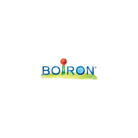 Boiron Arsenicum Alb Boi 200ch Gl 1g Boiron Arsenicum Alb Boi 200ch Gl 1g