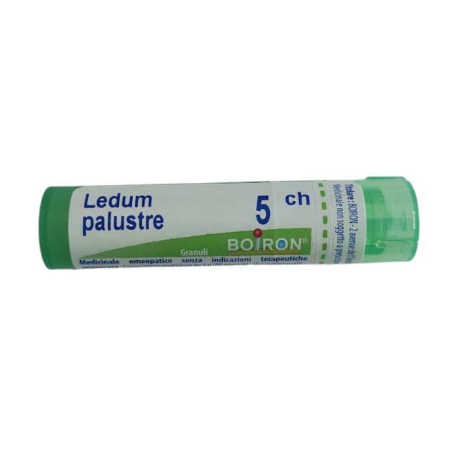 Boiron Ledum Palustre Boi 5ch Gr 4g