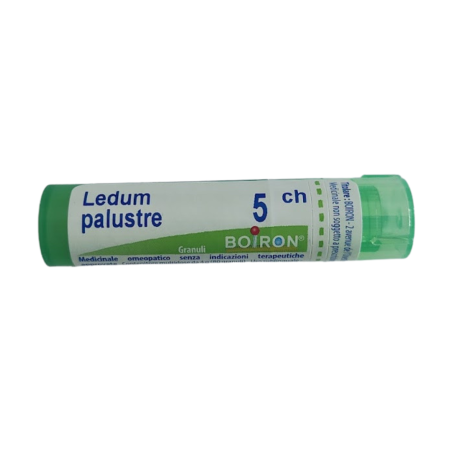Boiron Ledum Palustre Boi 5ch Gr 4g