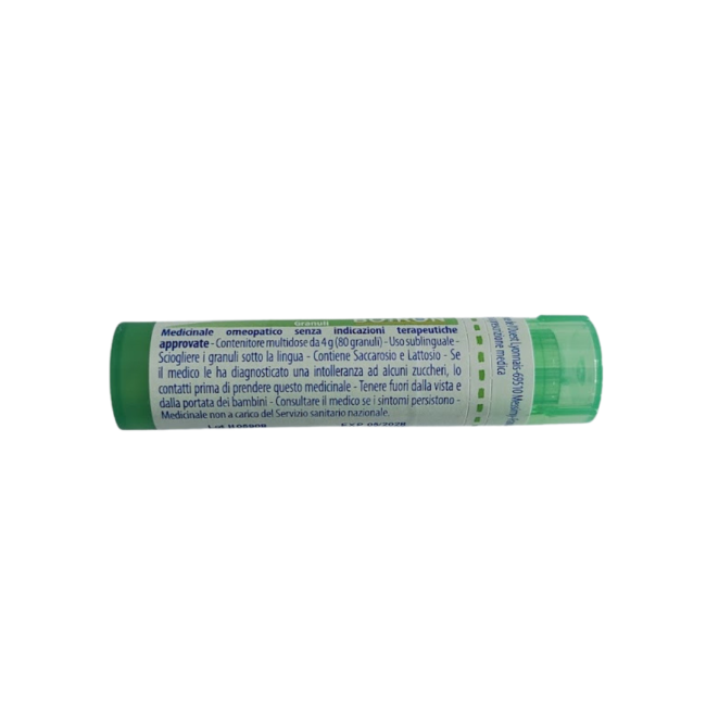 Boiron Ledum Palustre Boi 5ch Gr 4g