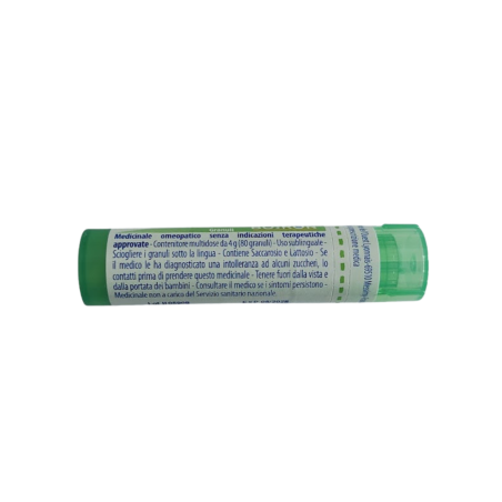 Boiron Ledum Palustre Boi 5ch Gr 4g