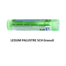 Boiron Ledum Palustre Boi 5ch Gr 4g