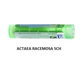 ACTAEA RACEMOSA 5CH GR