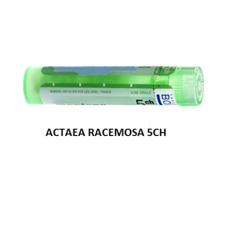 ACTAEA RACEMOSA 5CH GR