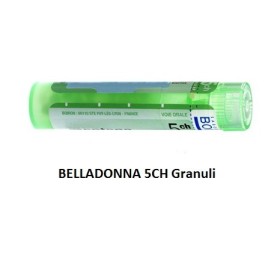 Belladonna Boi 5ch Gr 4g
