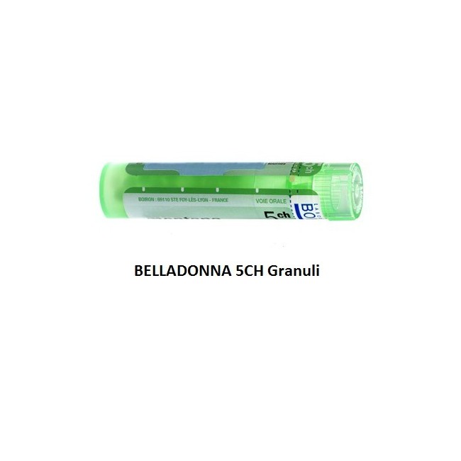 Belladonna Boi 5ch Gr 4g