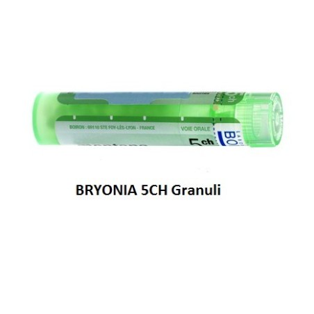 Bryonia Boi 5ch Gr 4g