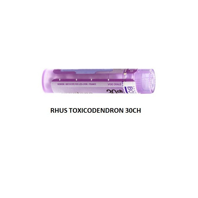 Rhus Tox Boi 30ch Gr 4g
