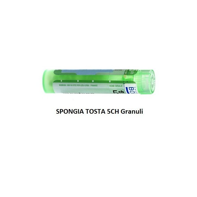 Spongia Tosta 5 Ch Granuli