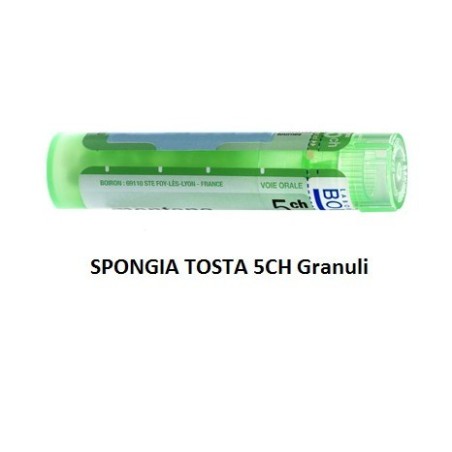 Spongia Tosta 5 Ch Granuli