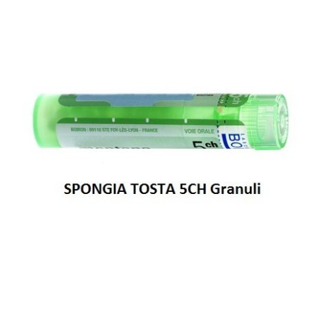 Spongia Tosta 5 Ch Granuli
