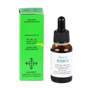 Mgs16 Ribes Macerato Glicerico Spg 20 Ml