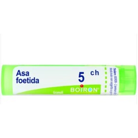 Asa Foetida Boi 5ch Gr 4g