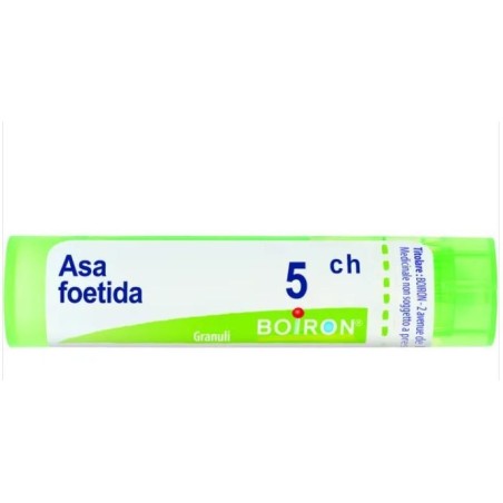 Asa Foetida Boi 5ch Gr 4g