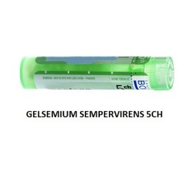 Gelsemium Sem Boi 5ch Gr 4g