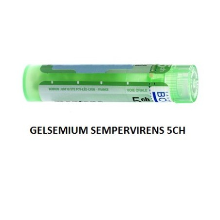 Gelsemium Sem Boi 5ch Gr 4g