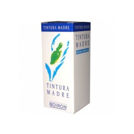 Harpagophytum Tintura Madre 60 Ml