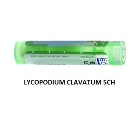Lycopodium Cl Boi 5ch Gr 4g