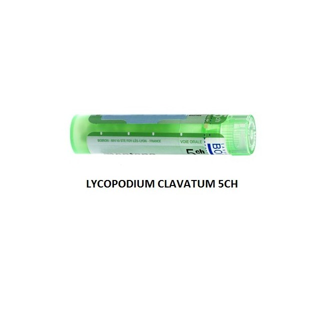 Lycopodium Cl Boi 5ch Gr 4g