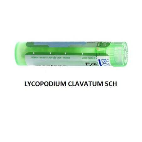 Lycopodium Cl Boi 5ch Gr 4g