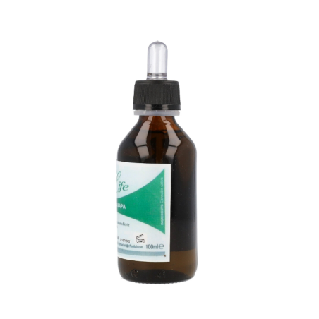 Olio Canapa 100 Ml Effegi