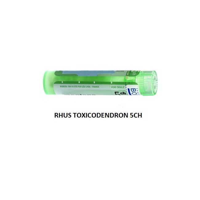 Rhus Tox Boi 5ch Gr 4g