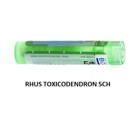 Rhus Tox Boi 5ch Gr 4g
