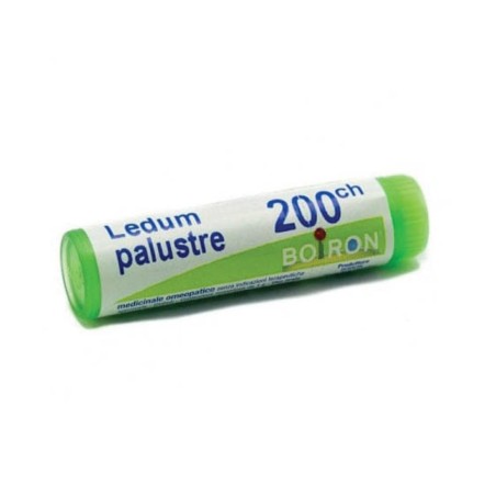 Ledum Palust 200ch Gl 1g