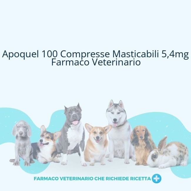 APOQUEL*100CPR MAST 5,4MG