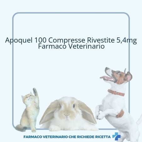 APOQUEL*100CPR RIV 5,4MG