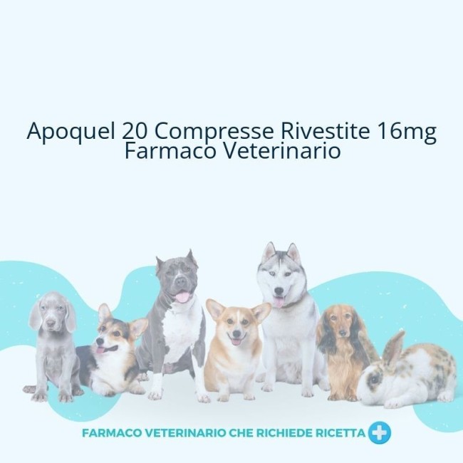 APOQUEL*20CPR RIV 16MG