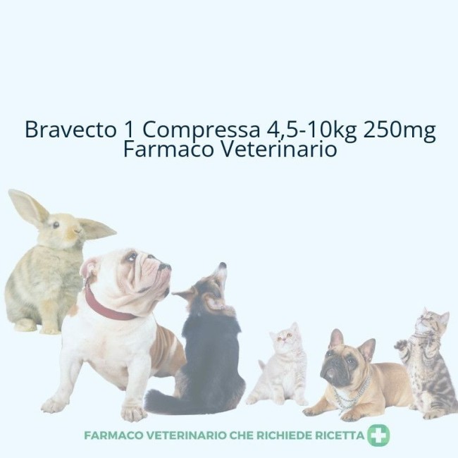 BRAVECTO*1CPR 4,5-10KG 250MG